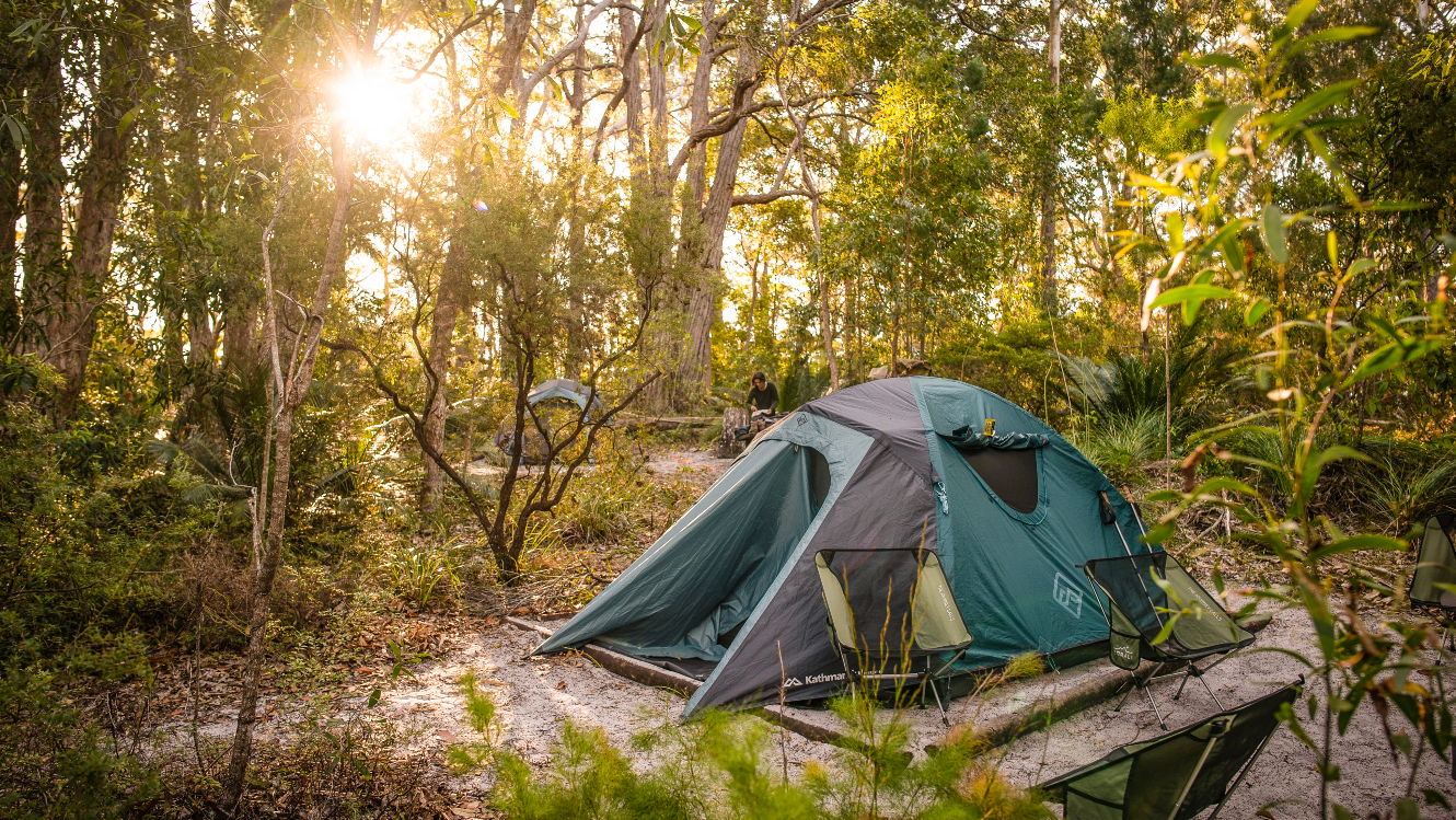 Rainforest Eco Hike Pack Free Walk Kgari Walking Tours 